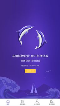 小豚信息与借贷服务 数字时代的便捷金融新选择